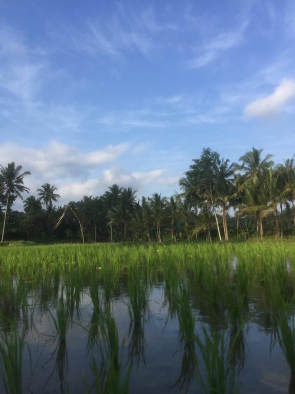 Umah Nik Kepitu Apartment Gianyar  Ngoại thất bức ảnh